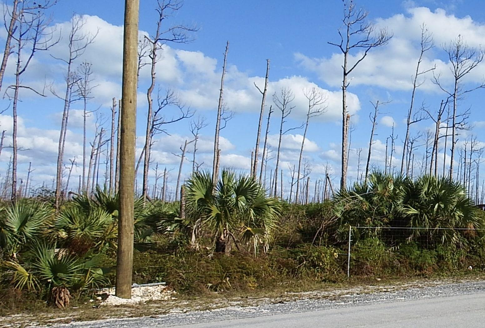 LOT 18 BLACKWOOD — photo 3