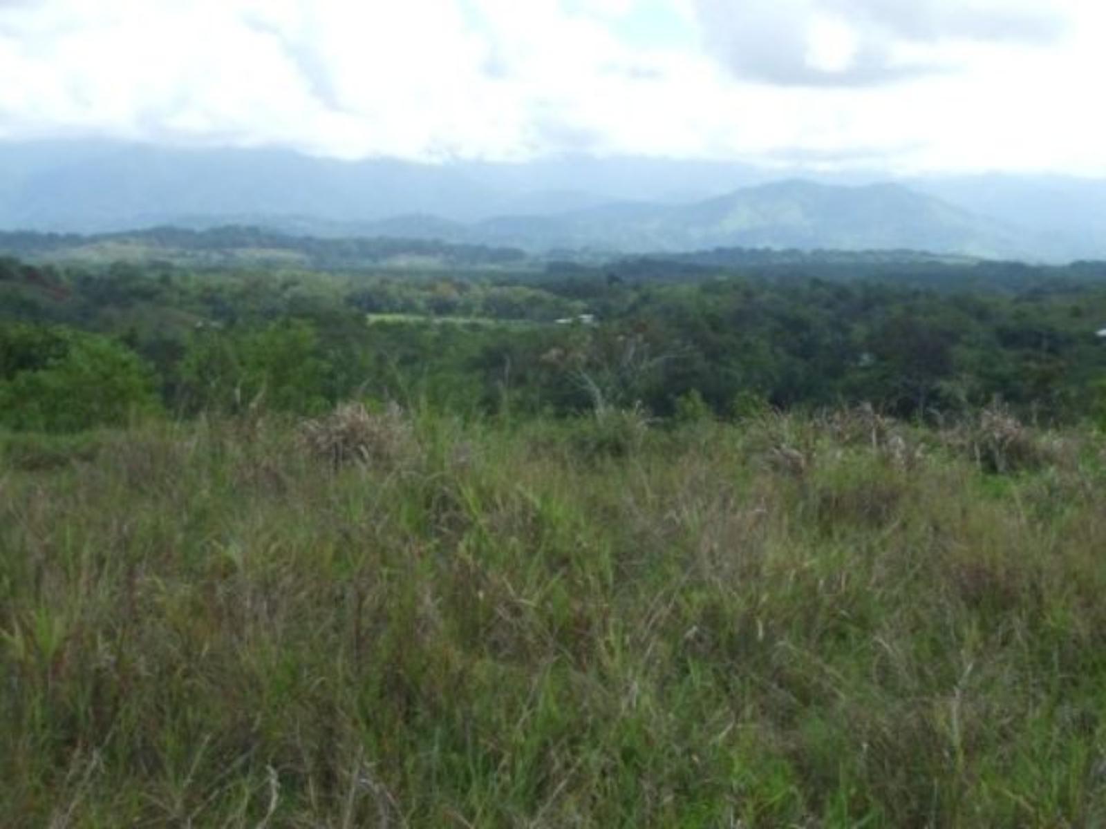61 Acres of Development Land for Sale in Quepos, Puntarenas, Costa Rica — photo 3
