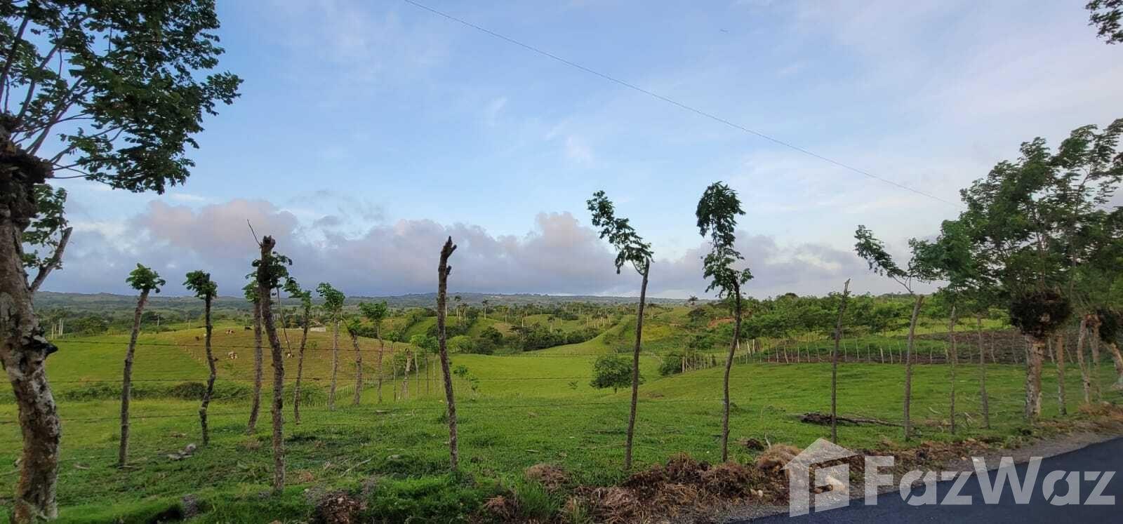 Land for Sale in Cabrera, Dominican Republic — photo 4