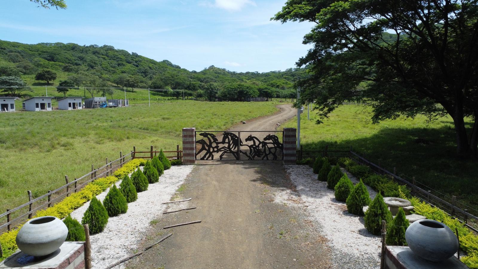 25 Hectare Farm for Sale, 27 De Abril, Tamarindo, Guanacaste, Costa Rica — photo 2