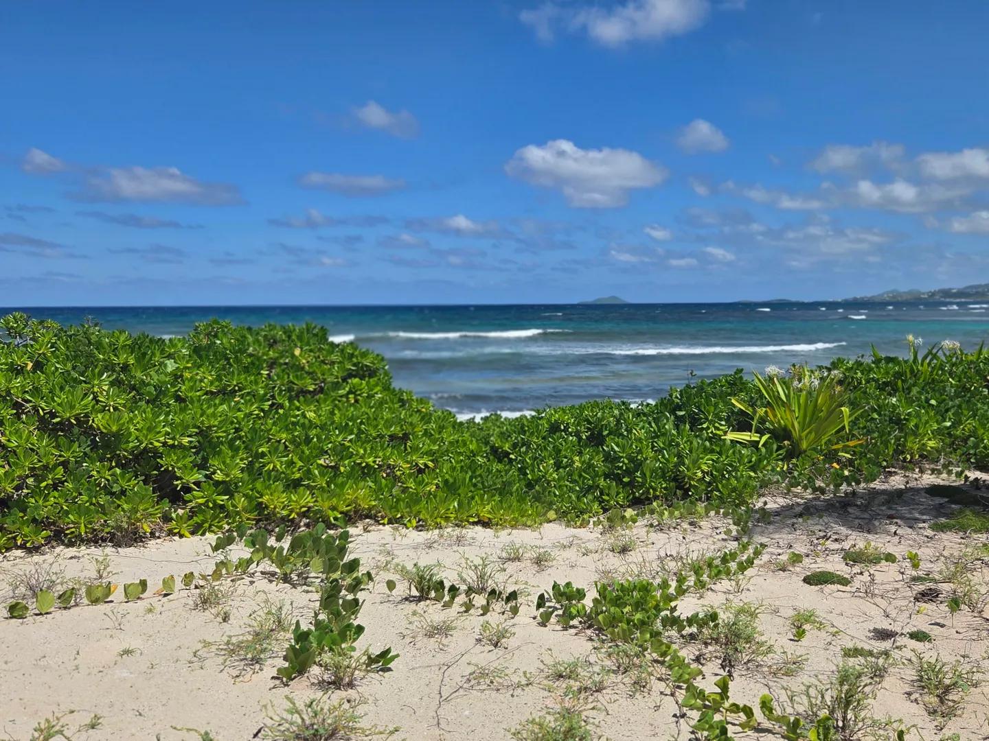 1 Bed, 1 Bath Apartment in La Grande Princesse, US Virgin Islands — photo 2
