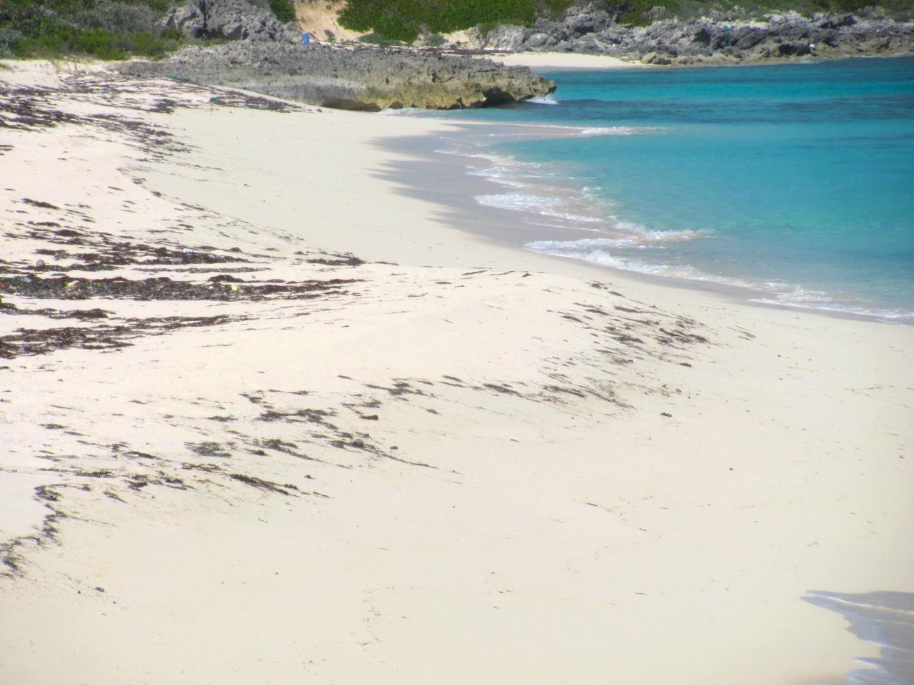 TURTLE COVE — photo 3
