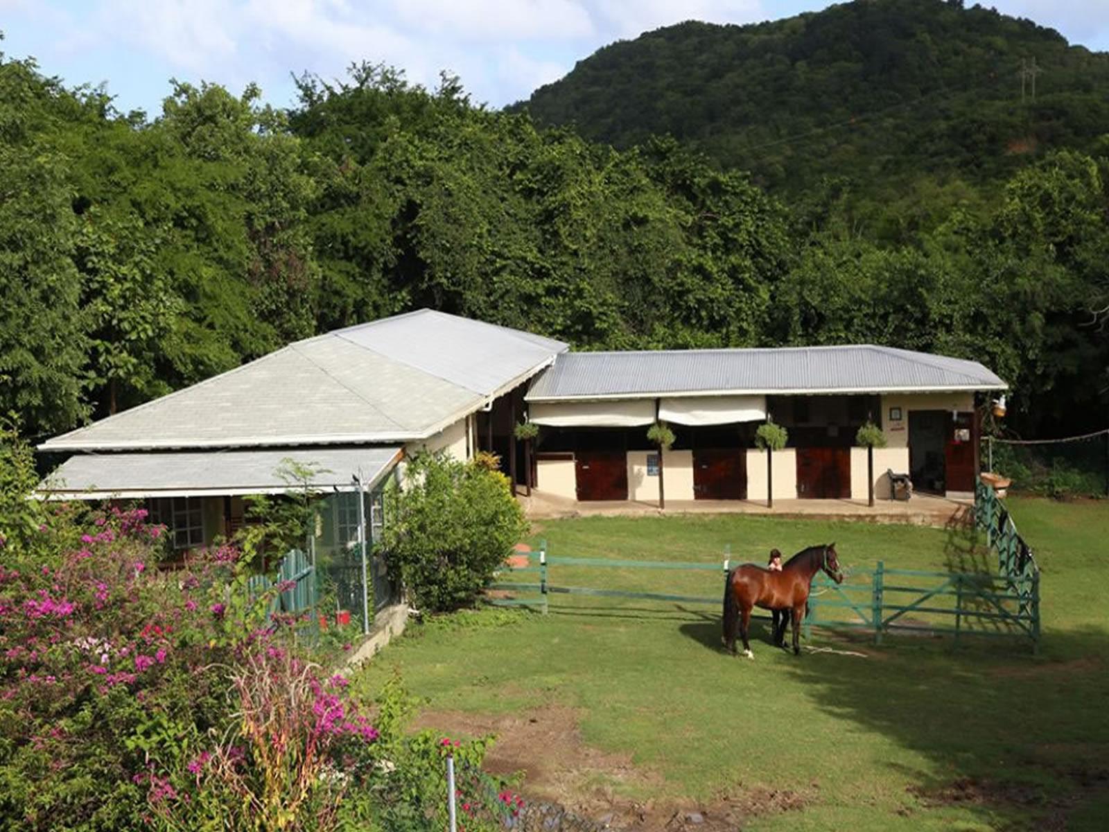 4 Bedroom Property with Guest Cottage and Stables for Sale, Cap Estate, St Lucia — photo 3