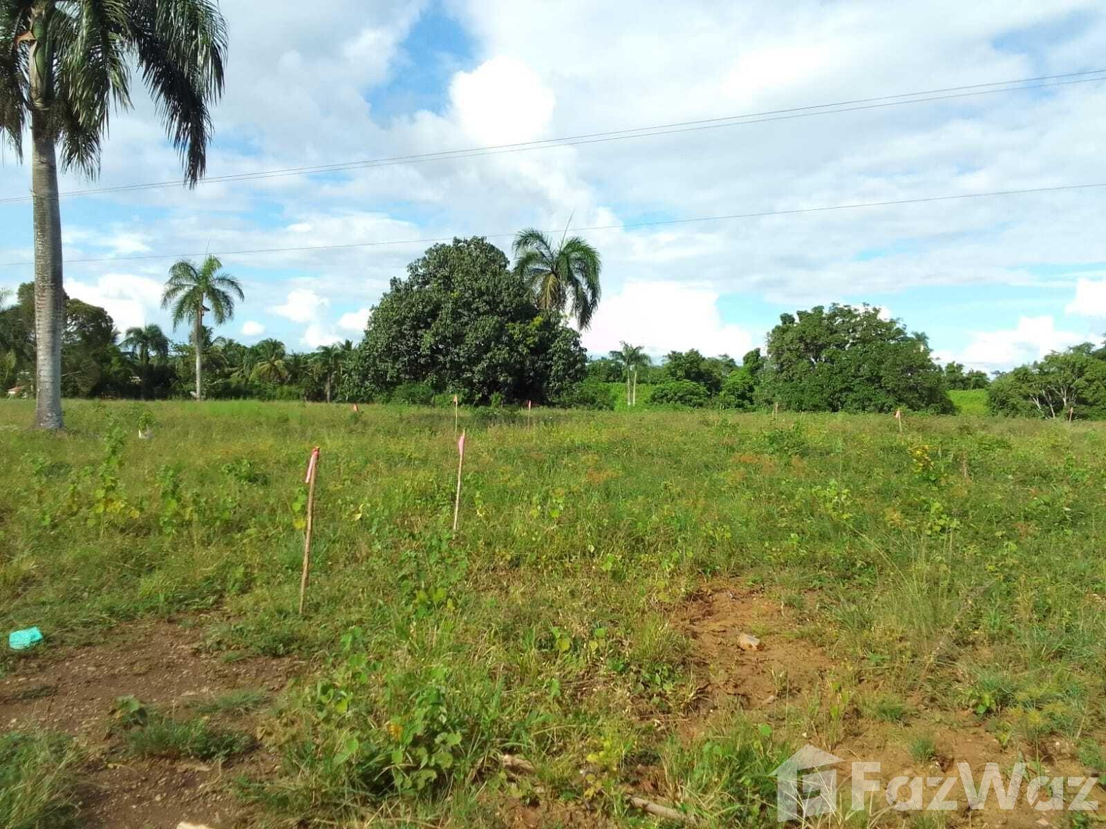 Land for Sale at Carr. La Victoria — photo 2