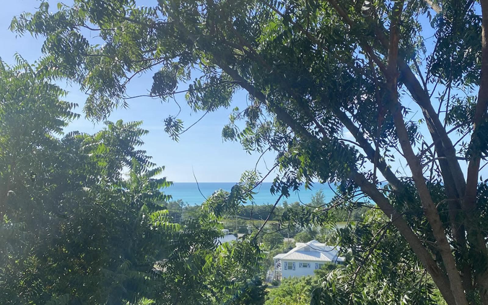 1.25 Acres of Land for Sale, Valley Church, St Marys, Antigua — photo 2