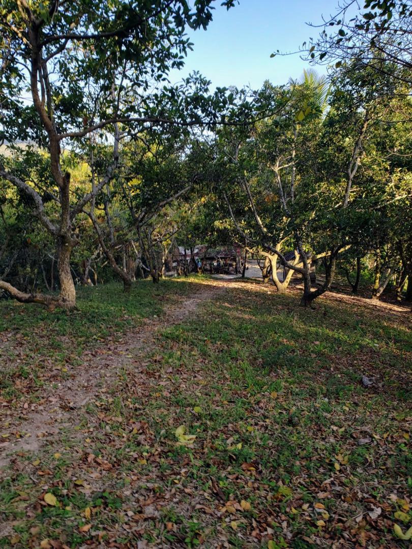 Land With Ocean View Have Fresh Water And Beside A River Have — photo 3