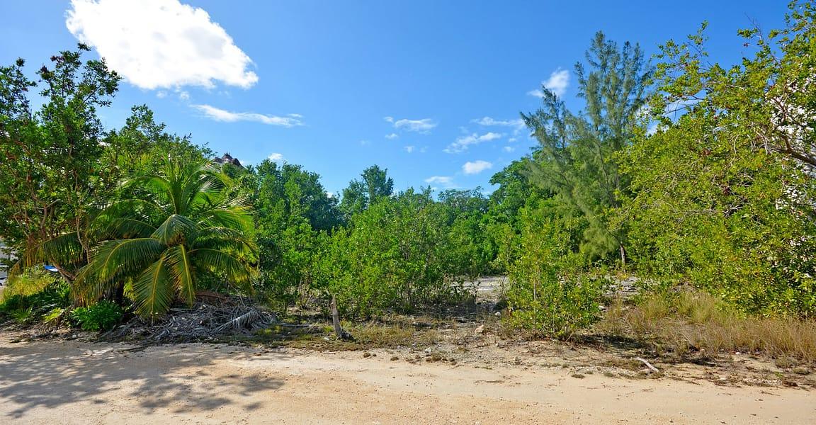 890 Square Meters of Land for Sale in Playa Paraiso, Mexico — photo 5
