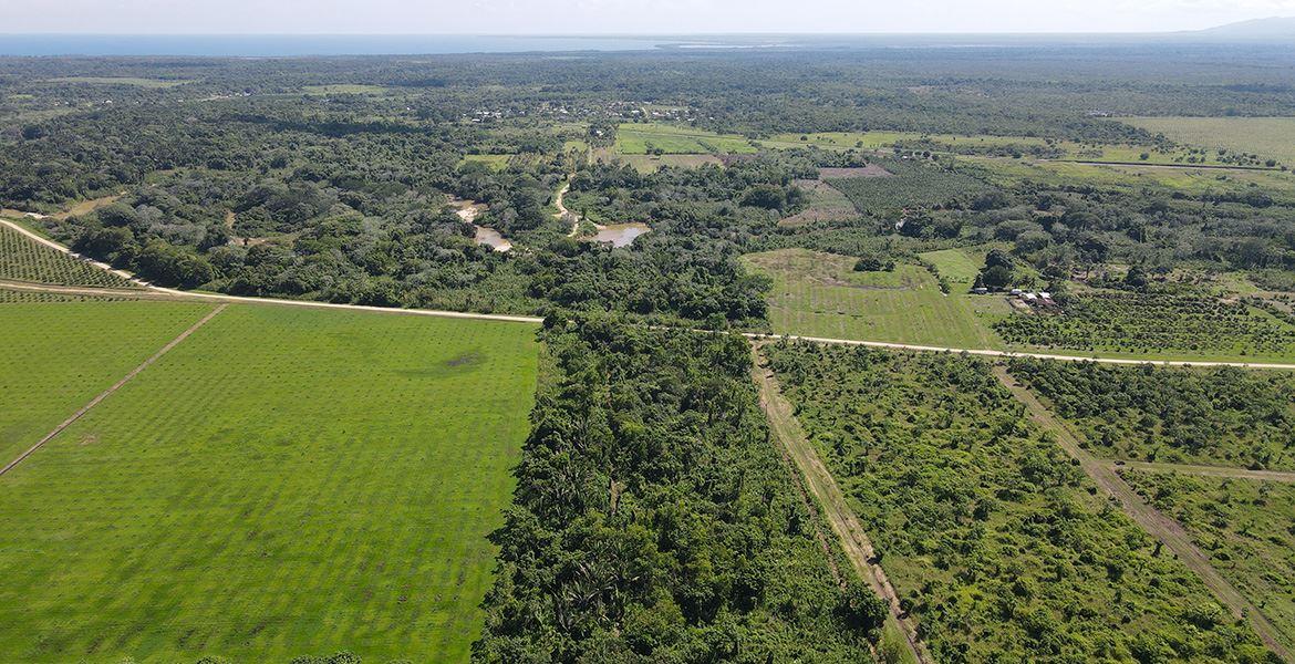 Self-Sufficient Hobby Farm on the Coastal Road — photo 5