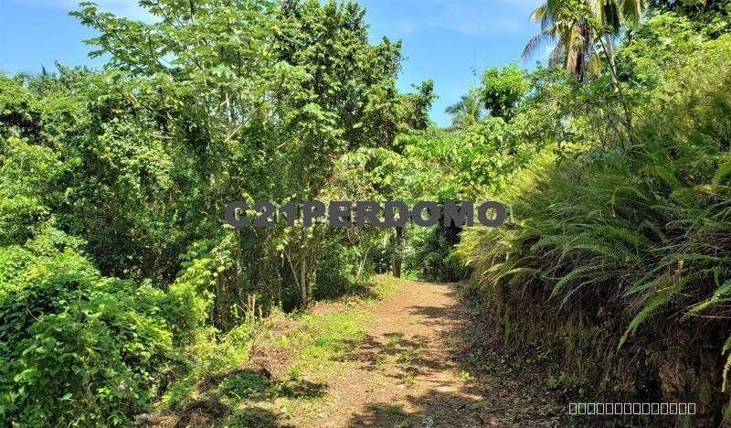 Property with panoramic views for sale in Las Terrenas — photo 3