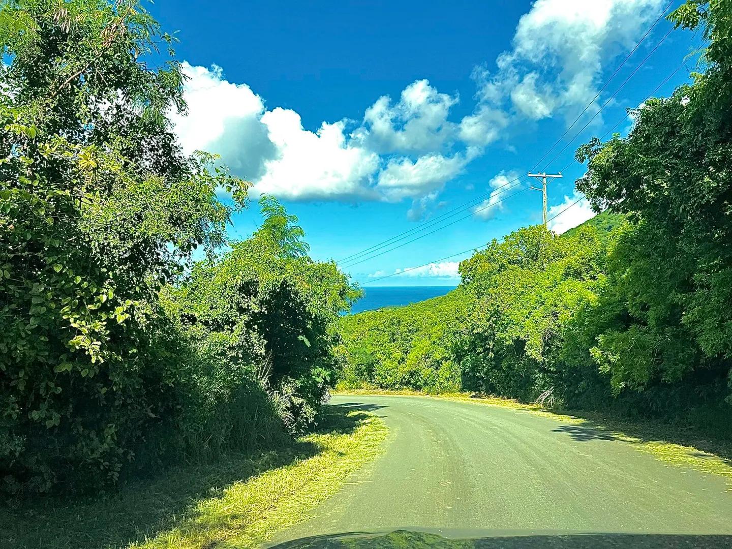 0.5 Acre Homesite Lot in St. Croix — photo 3