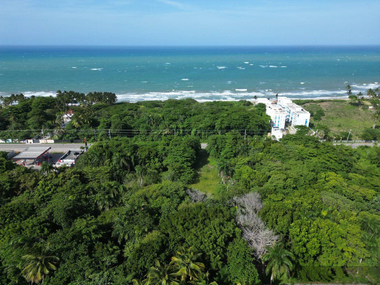 Large Development Land for Sale in Cabarete Near Beaches — photo 3