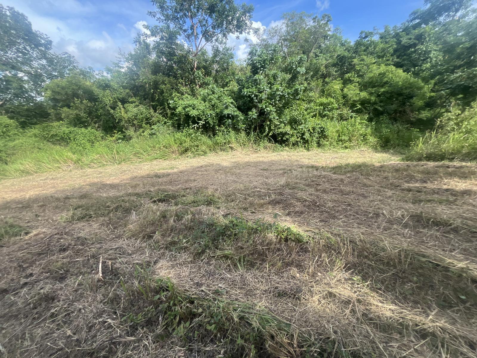 9.4 cuerdas of natural beauty in Coamo for farm or agrotourism project — photo 4