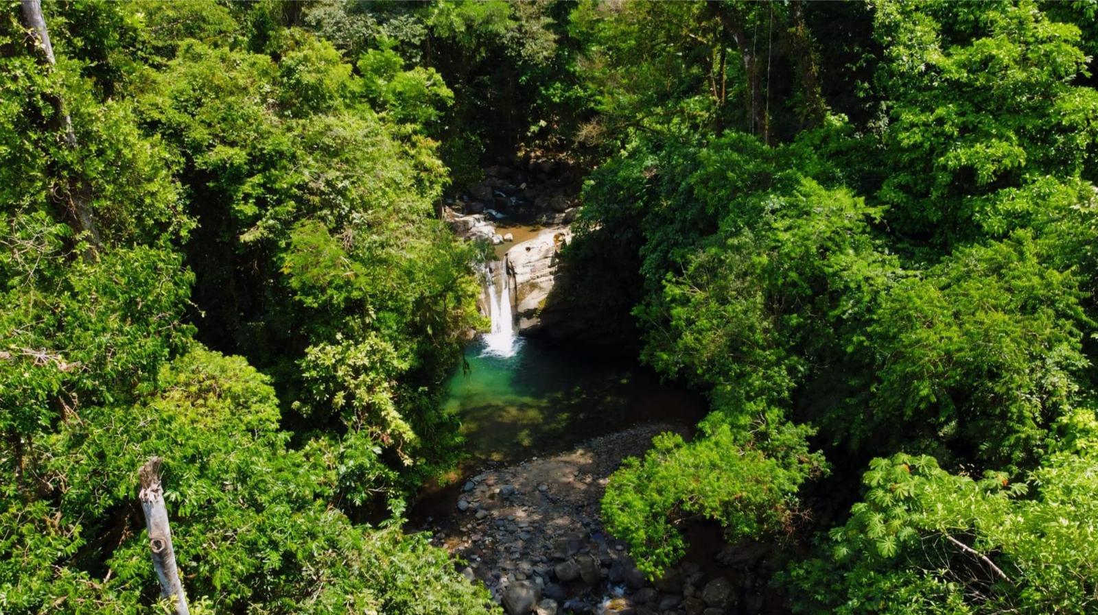 20 Acres of Prime Forest Land for Sale, Uvita, Puntarenas, Costa Rica — photo 1