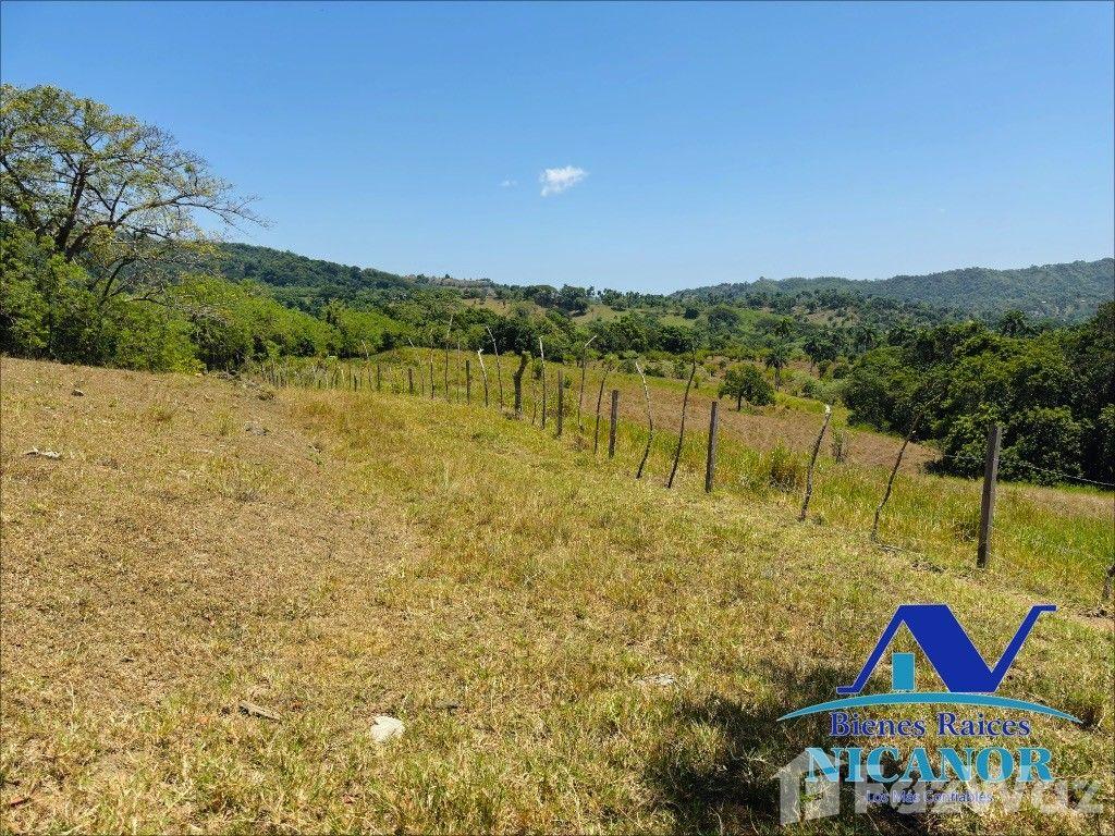 Cattle Ranch for Sale in Guananico, Puerto Plata — photo 5
