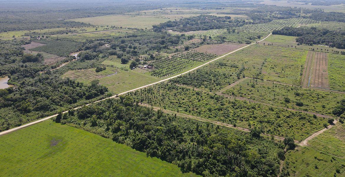 Exclusive Riverfront Jungle Retreat: 11 Acres on the North Stann Creek River — photo 4