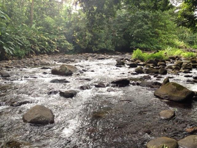 33 Acres of Farm Land for Sale, Central Dominica — photo 2