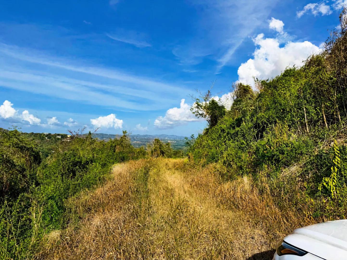 34 St. George Pr Lot — photo 4