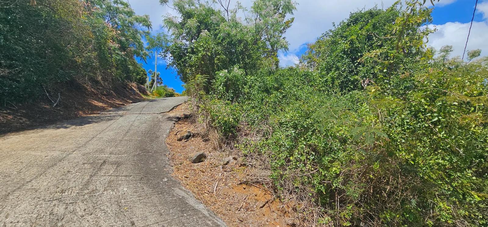 0.24 Acre Lot in St. Thomas, US Virgin Islands — photo 5
