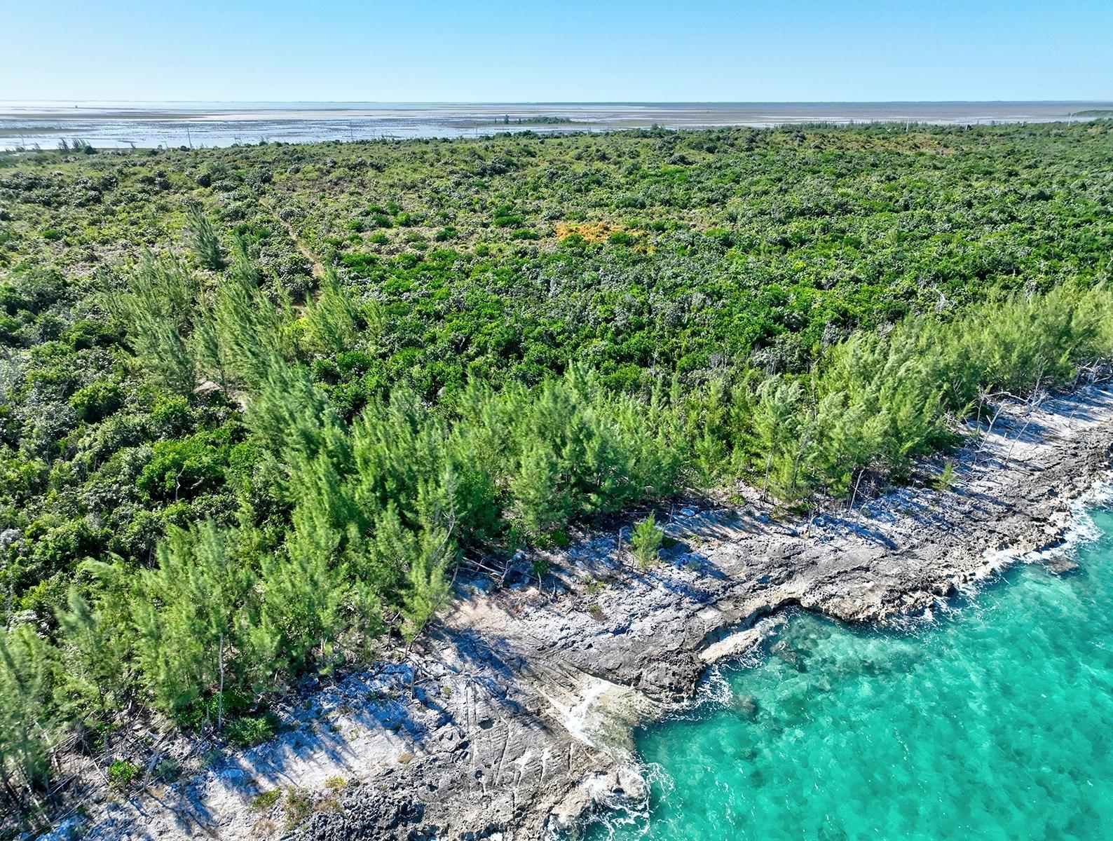 LOT #1 TREASURE CAY — photo 5