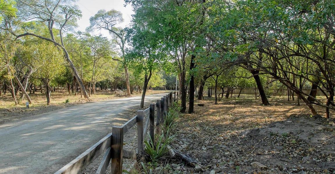 0.12 Acre Lot for Sale in Costamar, Hacienda Iguana, Nicaragua — photo 5