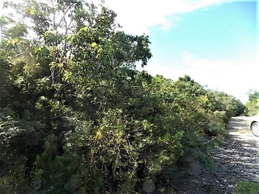 Ph, Sec 2 MOUNT CURTIS DR. — photo 3