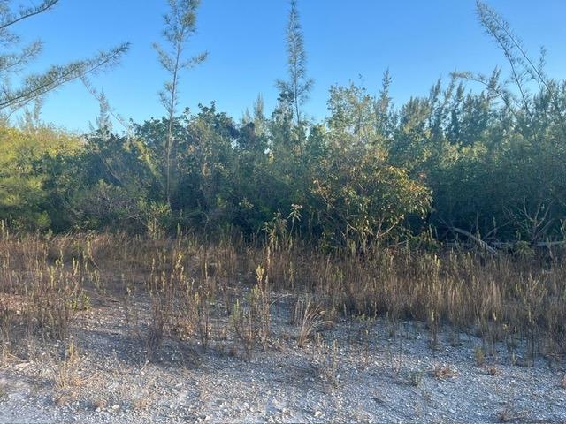 SOUTH SEAS — photo 4