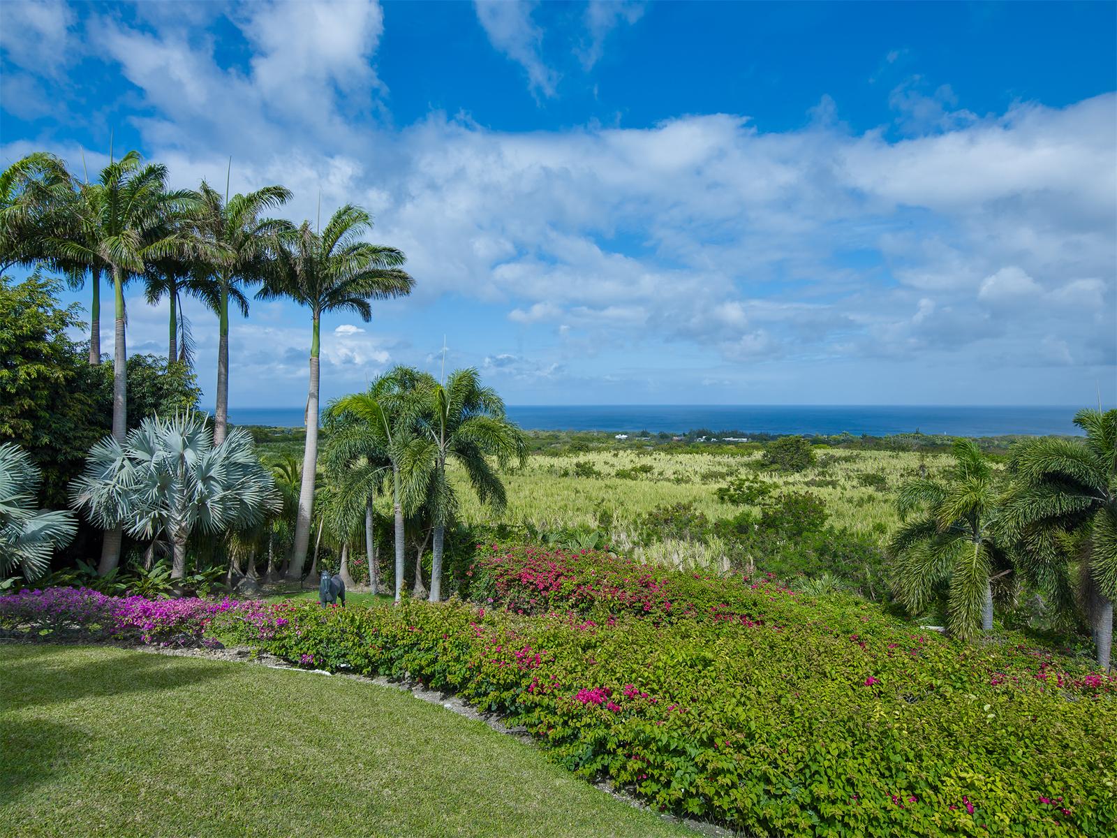 The Ridge Estate, Baker's Plantation, Barbados — photo 3