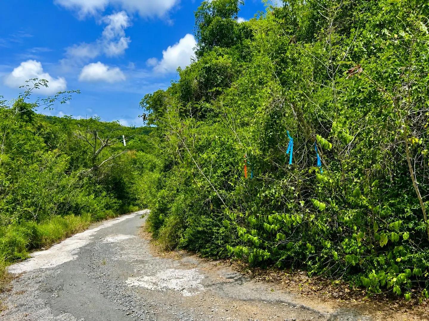 1.59 Acre Homesite in Orange Grove Estates, St. Croix — photo 2