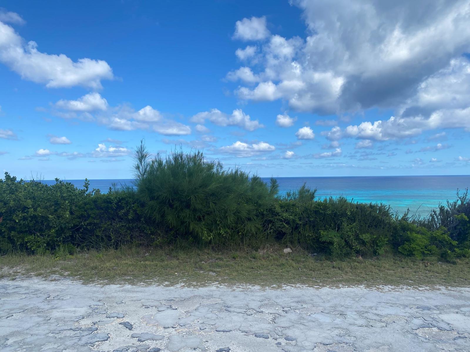 Vacant Land for sale - Lot 15, Block 20, Section B - MLS 65101 — photo 4