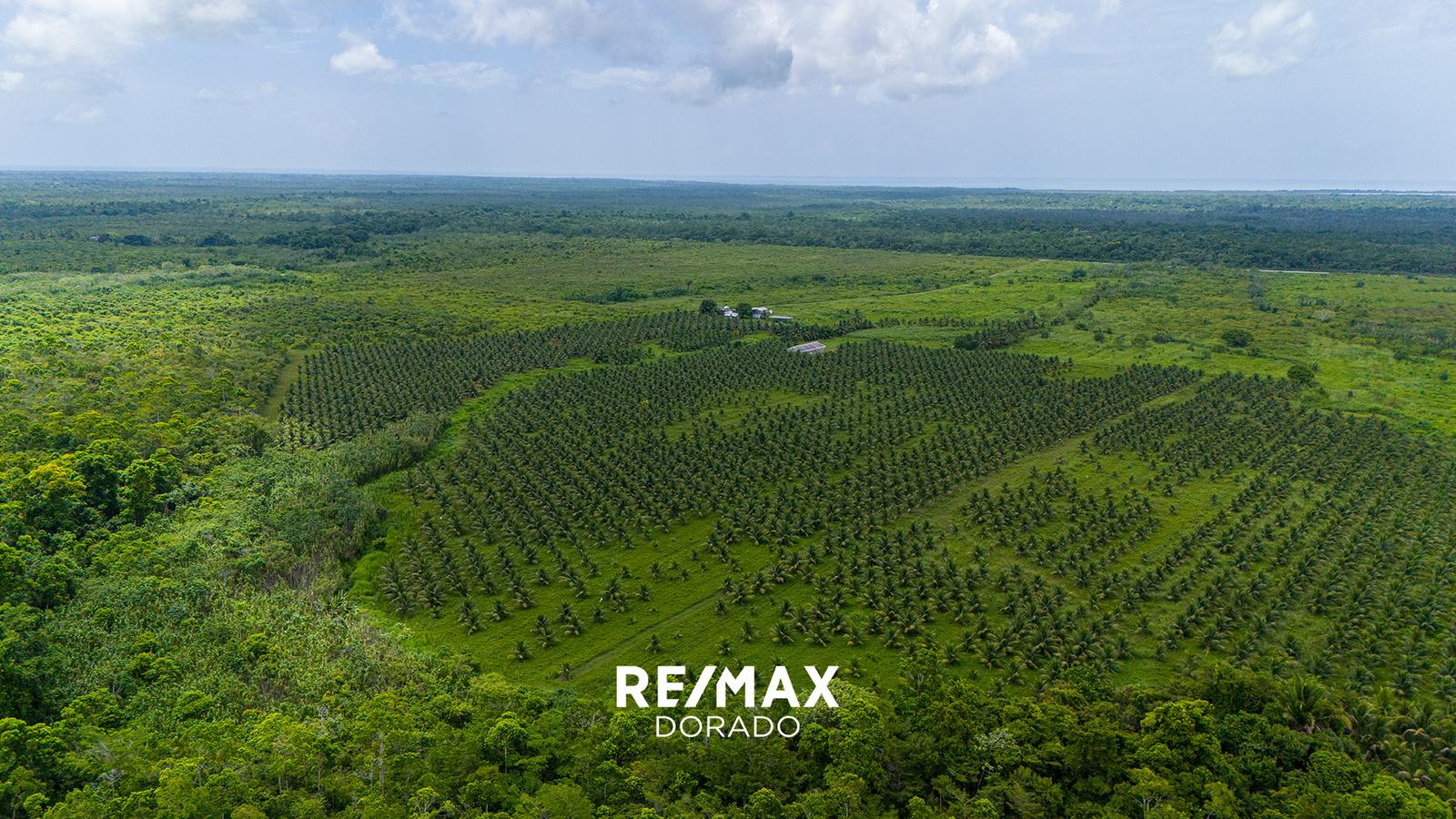 339 Acres of Prime Income-Producing Farmland on the Southern Highway — photo 2