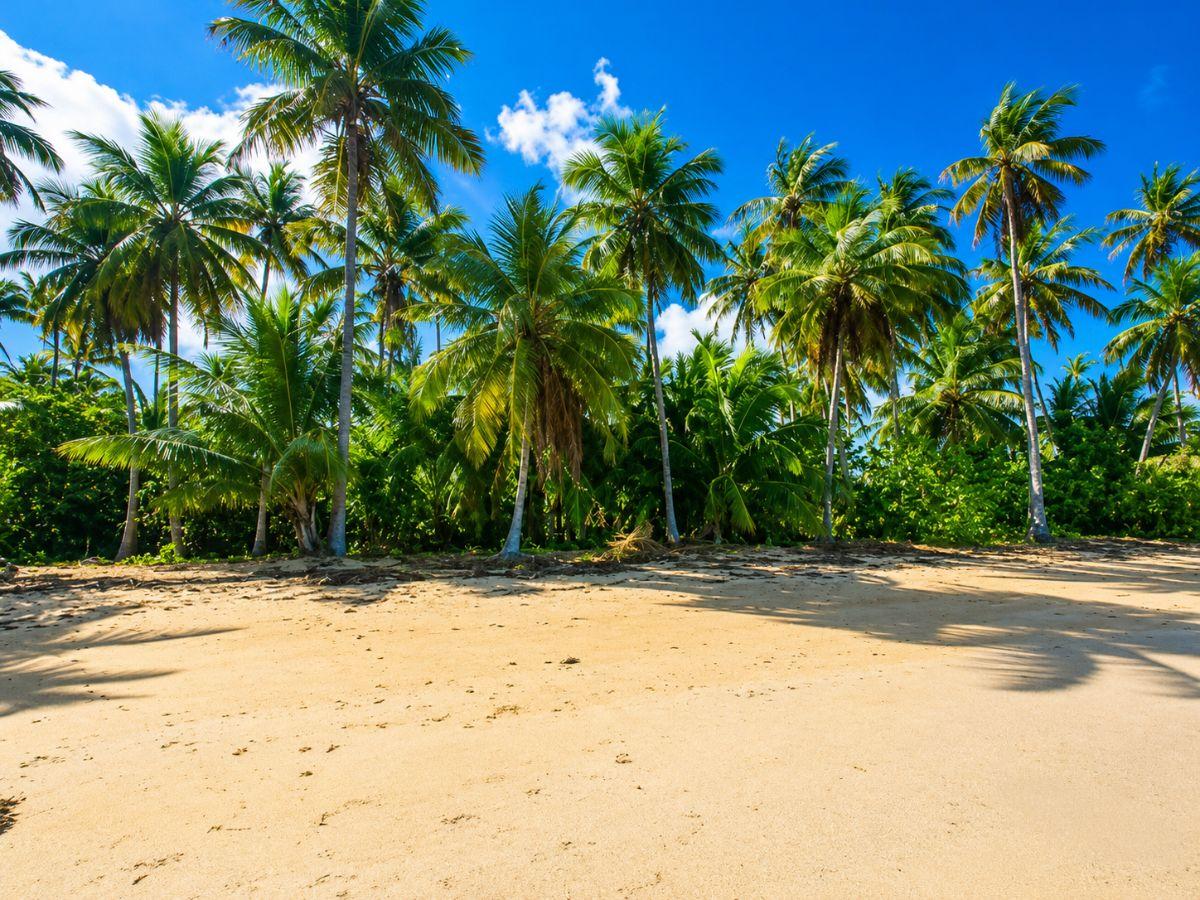 Rare 2,500 m² Building Plot Just 60 m from Playa Cosón — photo 2