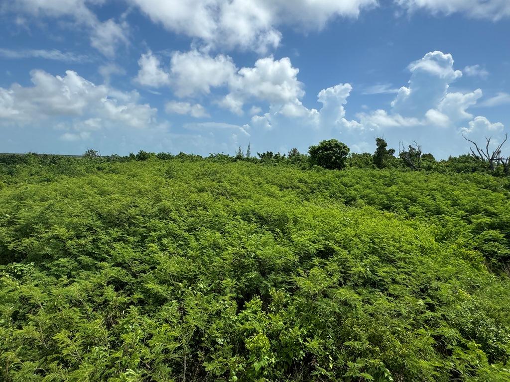 Vacant Land for sale - Lot 38b Sweetings Cay — photo 4