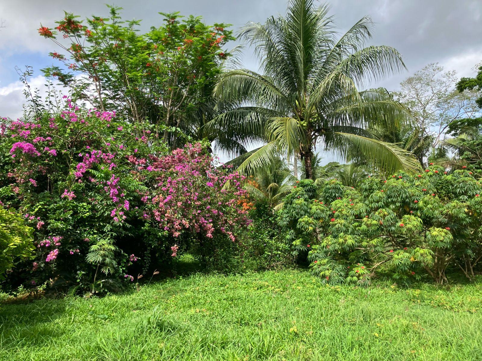 Your small off grid opportunity — photo 3