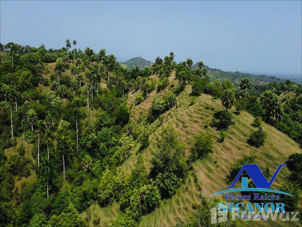825 acre farm for sale in Imbert, Puerto Plata, Dominican Republic — photo 1
