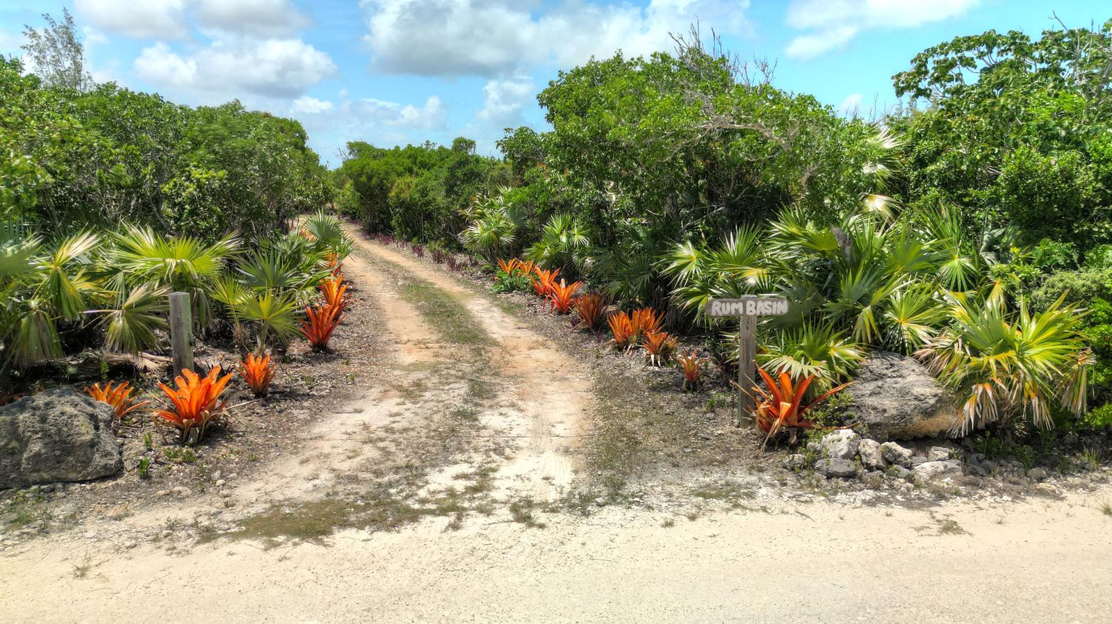 Lot 9A, Tom Currys Point - MLS 65976, Abaco, Bahamas — photo 2