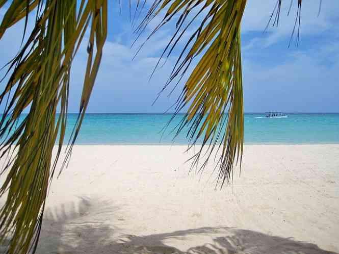 Land for sale in St Lucia — photo 1