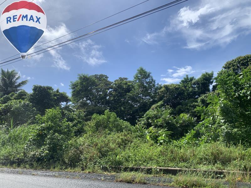 Investment Opportunity in Soufriere, St. Lucia - Development Land — photo 4