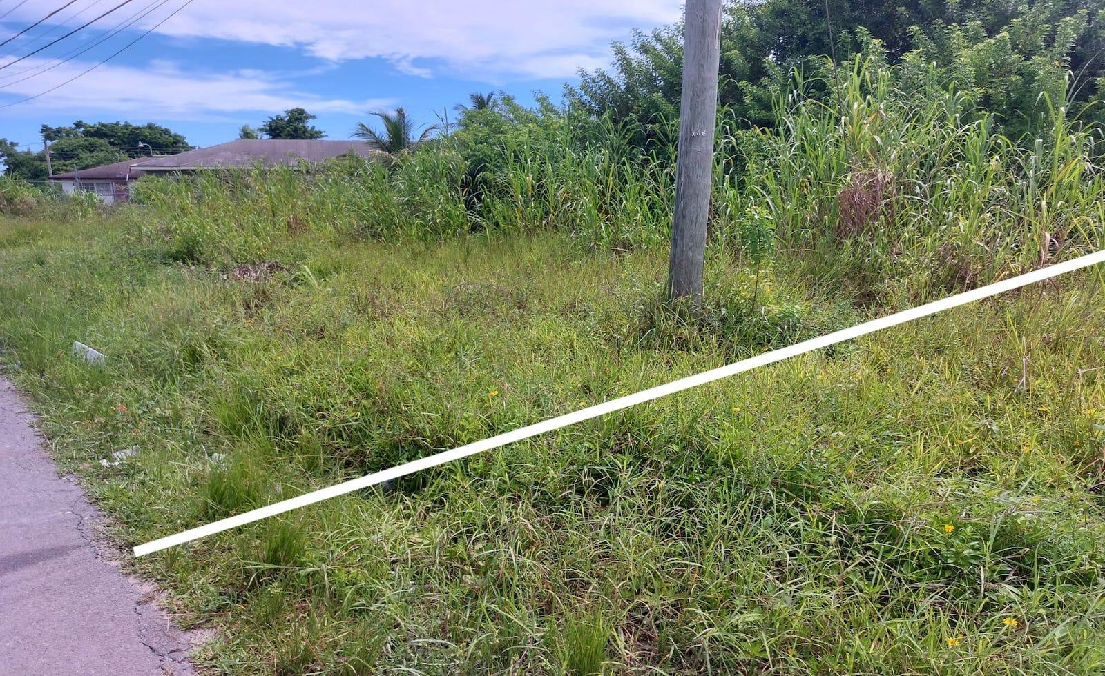 Vacant Land for sale - Lot P1 - Mls 65773 — photo 3