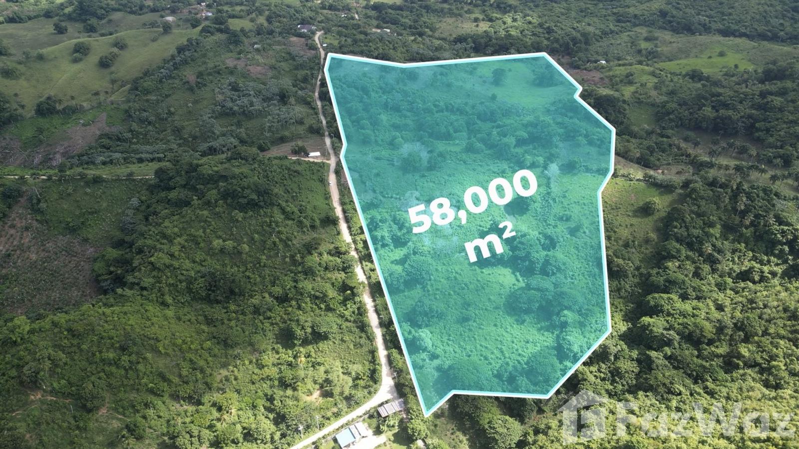 58,000 SqM Land Plot for Sale in Las Terrenas — photo 3