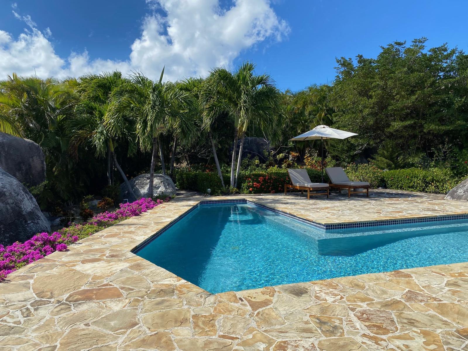 Calypso Villa — photo 2