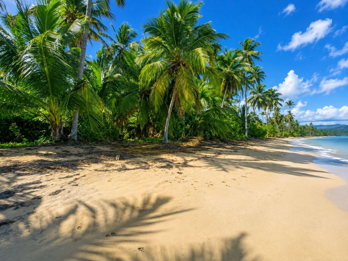Rare 2,500 m² Building Plot Just 60 m from Playa Cosón — photo 1