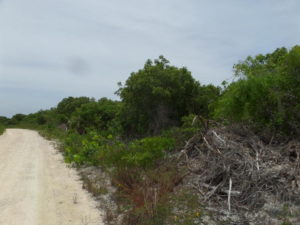 NORTH CROWN CAY — photo 4