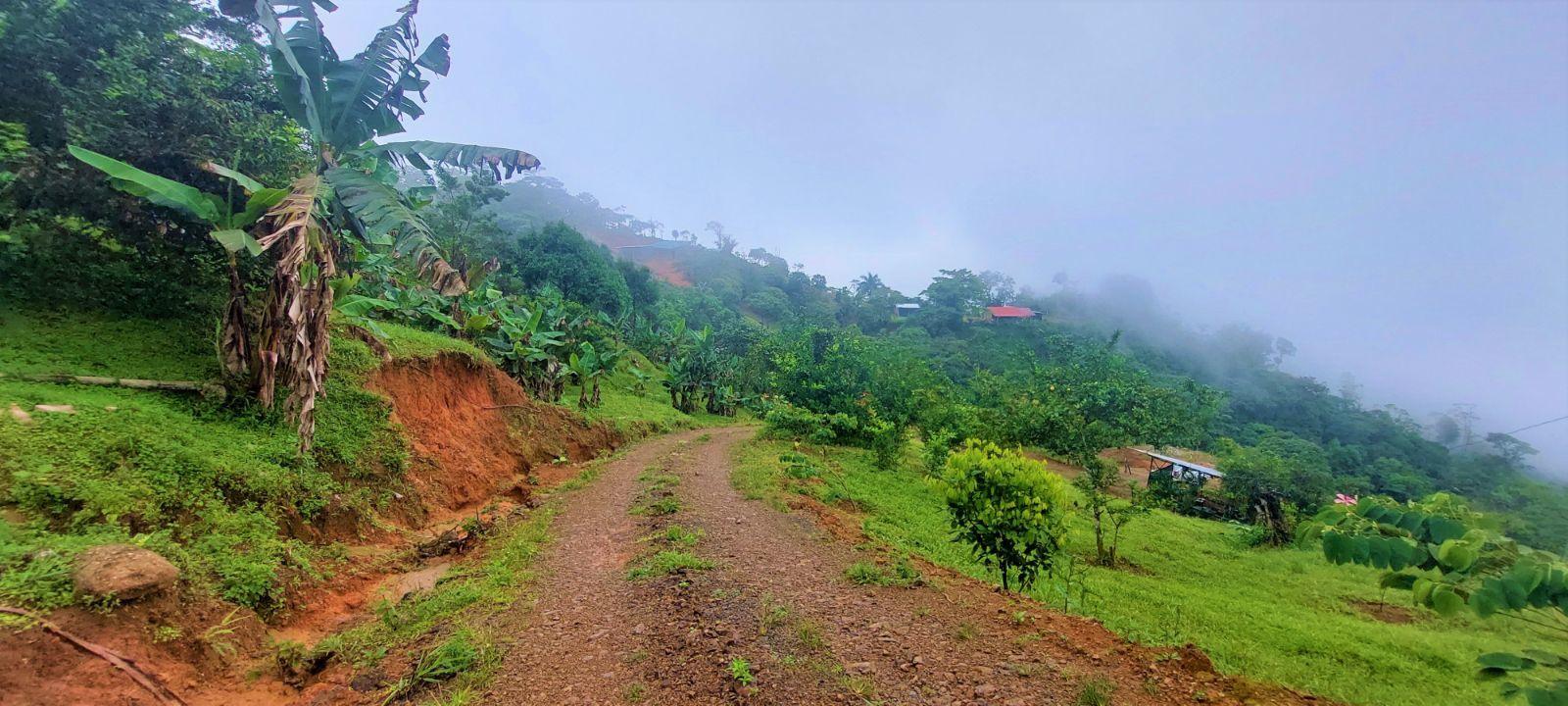 7.8 Acre Property for Sale, Alto San Juan, Tinamastes, Costa Rica — photo 1
