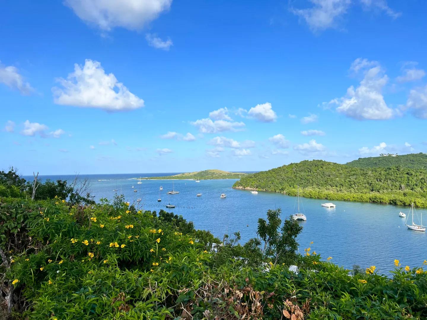 1.84 Acre Homesite Lot in Salt River, US Virgin Islands — photo 3