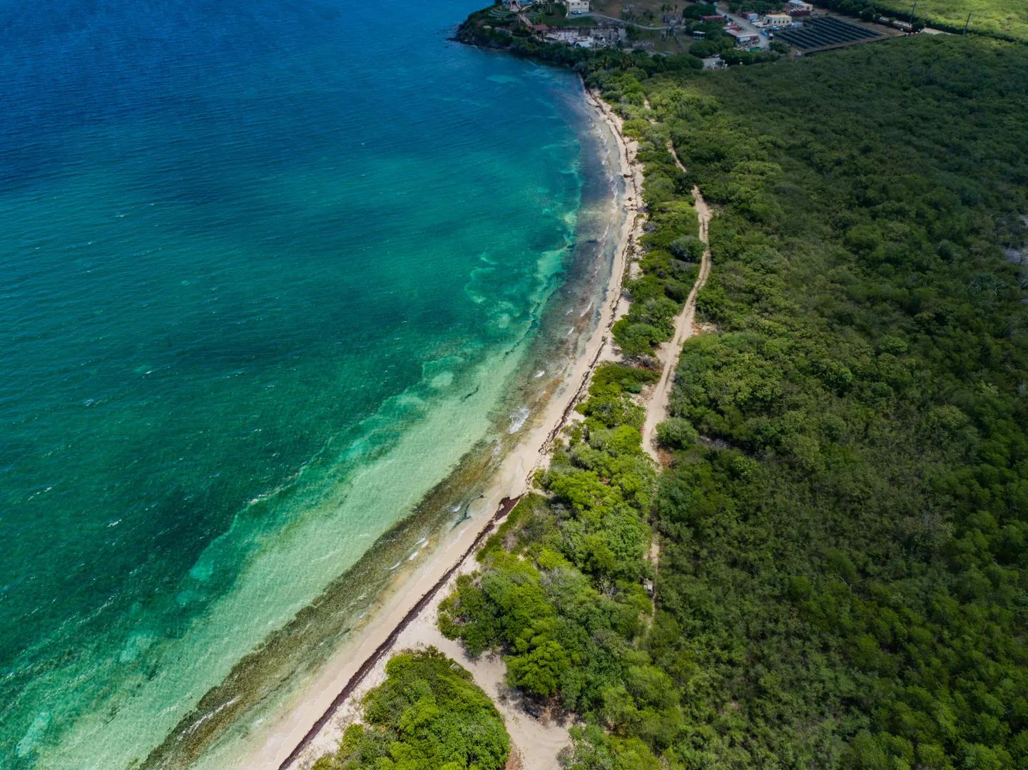 94 Acre Beachfront Lot in St. Croix — photo 5