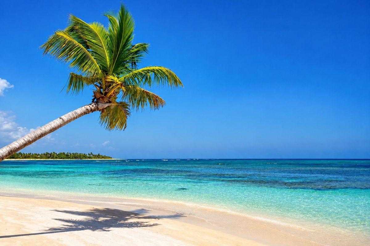 Exceptional 1,750 m² Building Plot Just 60 m from the Beach – Portillo, Las Terrenas — photo 1
