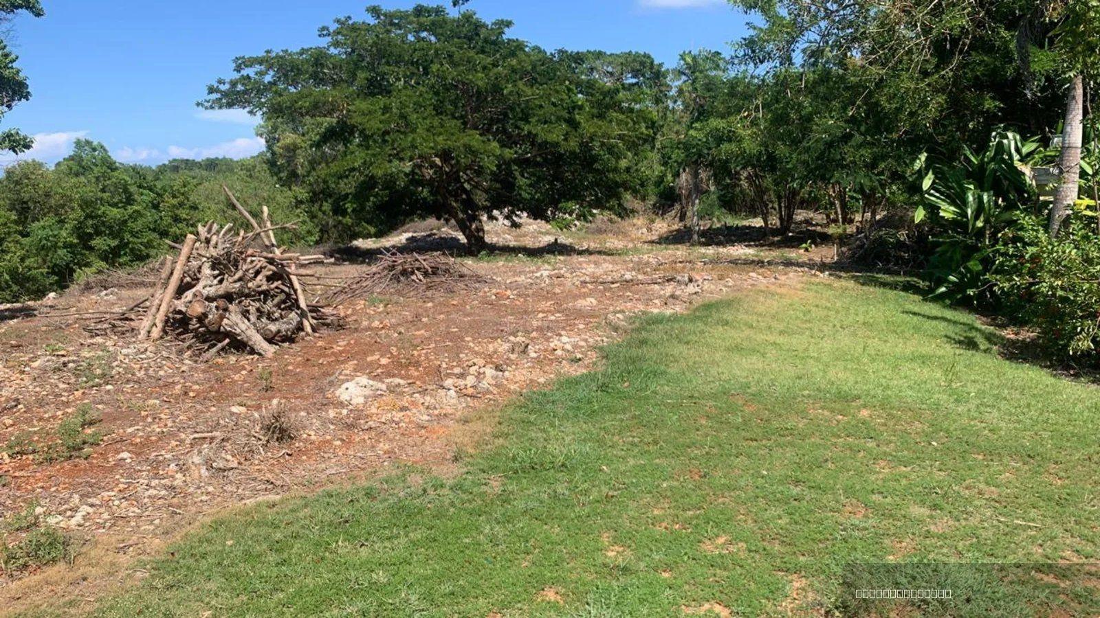 Ocean View Land — photo 1