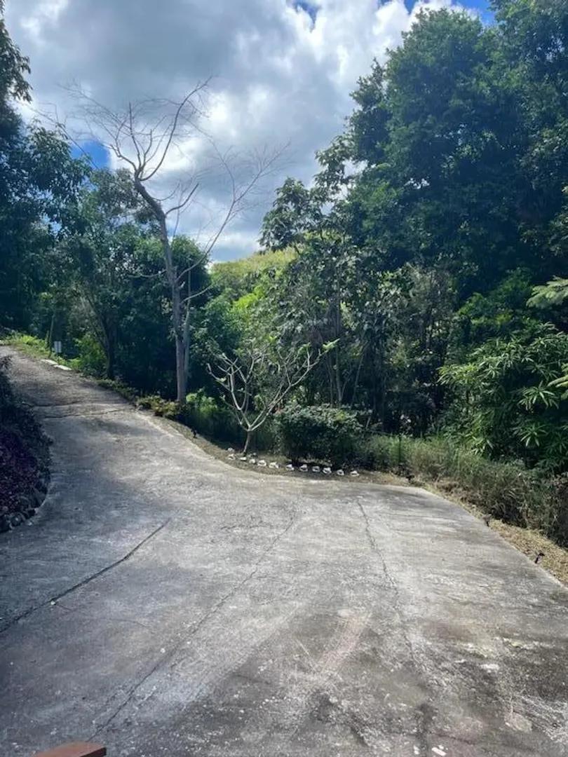 9-17-g Glucksberg, St John Island, US Virgin Islands — photo 4
