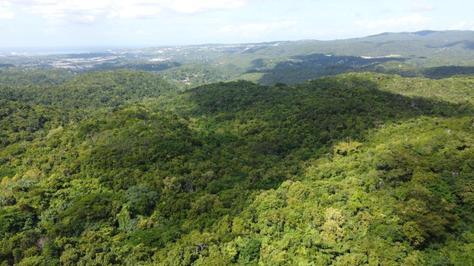 30 Acre Development Land for Sale, Glendale Heights, Montego Bay, St James, Jamaica — photo 5