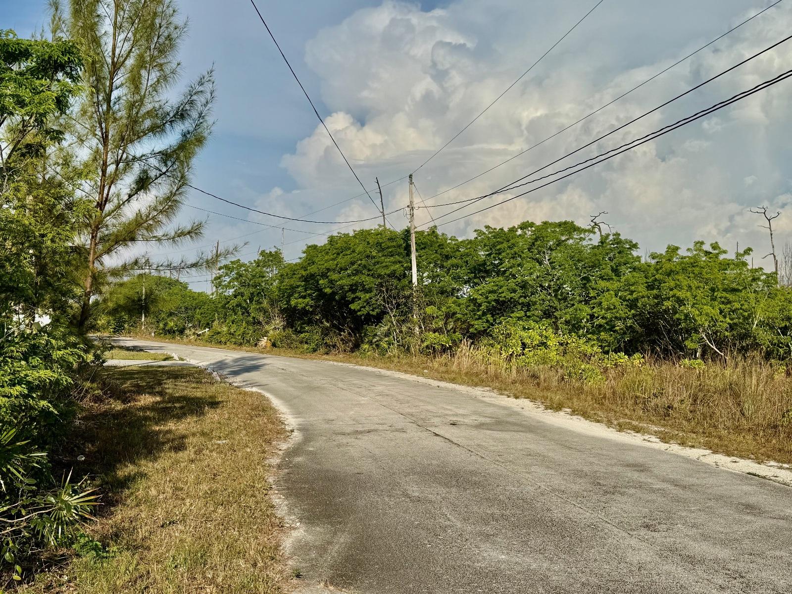 Vacant Land for sale - Duplex Lot Ludford Drive, Lincoln Green — photo 1